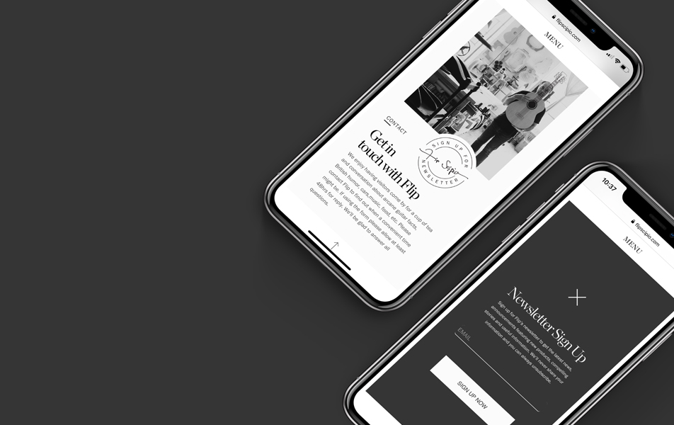 Flip fixed Paul Simon guitars. We developed a unique website